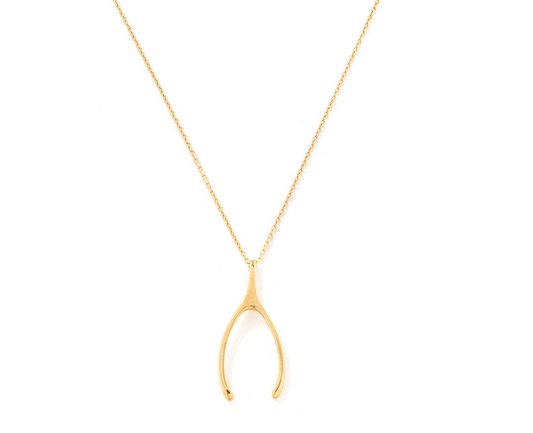 Pingente Wishbone (ossinho da sorte)