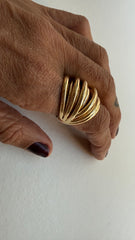 Anel aros fixo