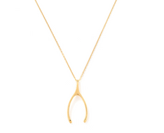 Pingente Wishbone (ossinho da sorte)