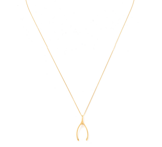 Pingente Wishbone (ossinho da sorte)